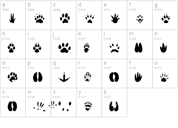 AnimalTracks lowercase a-z preview
