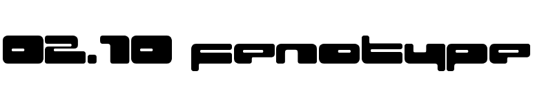 02.10 fenotype font preview