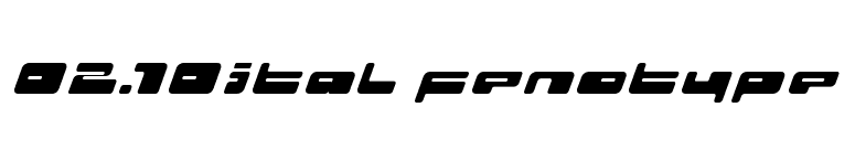 02.10ital fenotype font preview