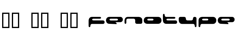 08 02 03 Fenotype font preview