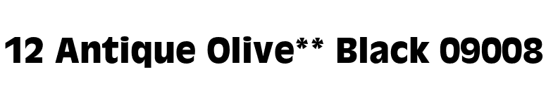 12 Antique Olive** Black 09008 font preview