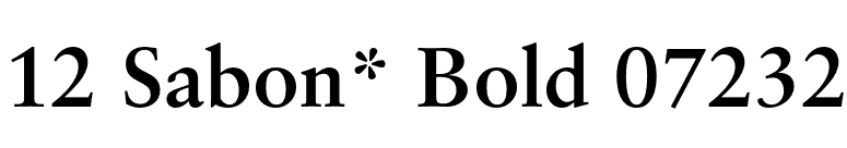 12 Sabon* Bold 07232 font preview