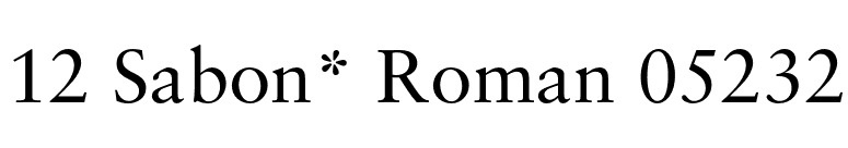 12 Sabon* Roman 05232 font preview