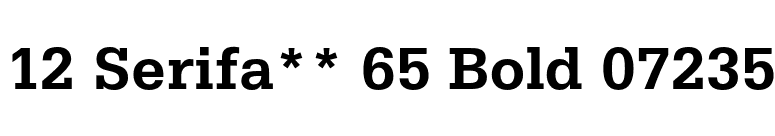12 Serifa** 65 Bold 07235 font preview