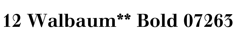 12 Walbaum** Bold 07263 font preview