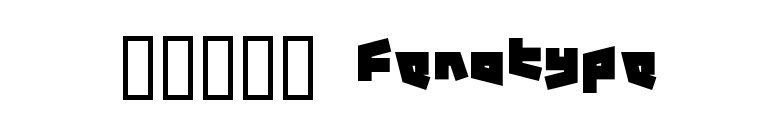 12.19 Fenotype font preview
