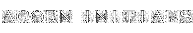 Acorn Initials font preview