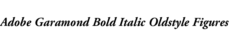 Adobe Garamond Bold Italic Oldstyle Figures font preview