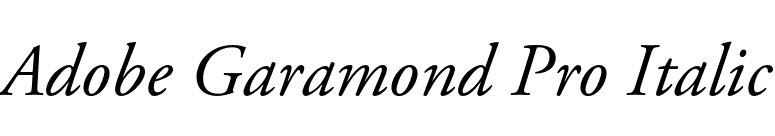 Adobe Garamond Pro Italic font preview