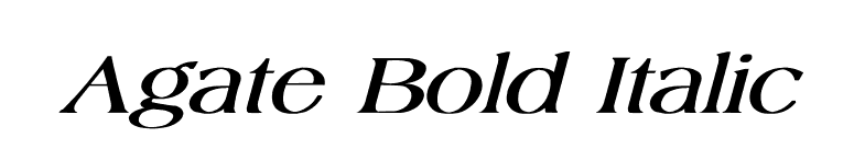 Agate Bold Italic font preview
