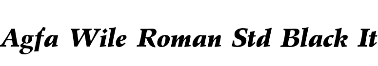 Agfa Wile Roman Std Black It font preview