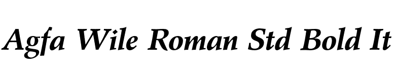 Agfa Wile Roman Std Bold It font preview