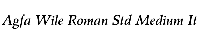 Agfa Wile Roman Std Medium It font preview