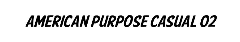 American Purpose Casual 02 font preview