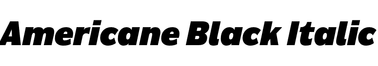 Americane Black Italic font preview