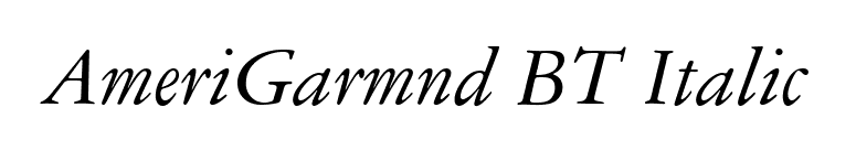 AmeriGarmnd BT Italic font preview