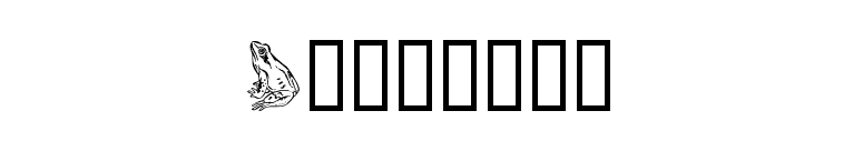 Amphibia font preview