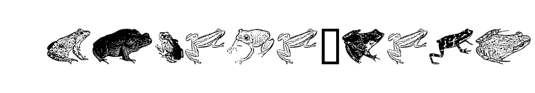 AmphibiPrint font preview