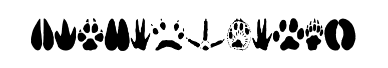 AnimalTracks font preview