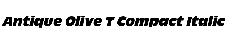 Antique Olive T Compact Italic font preview