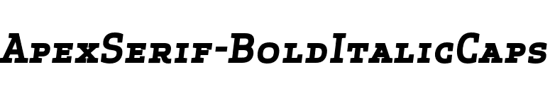 ApexSerif-BoldItalicCaps font preview