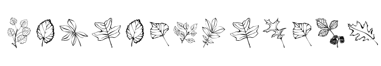 ArborisFolium font preview