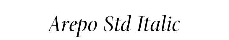 Arepo Std Italic font preview