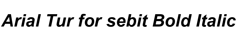 Arial Tur for sebit Bold Italic font preview
