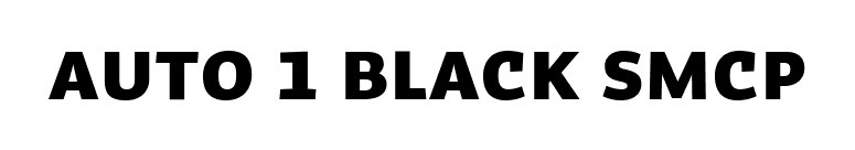 Auto 1 Black SmCp font preview