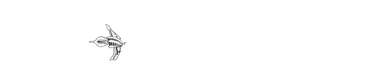 B5wingdings font preview