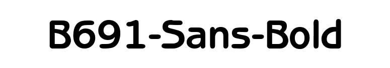 B691-Sans-Bold font preview