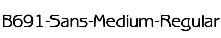 B691-Sans-Medium-Regular font preview