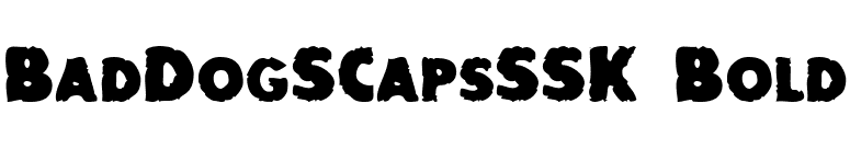 BadDogSCapsSSK Bold font preview