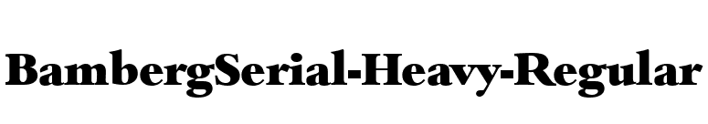 BambergSerial-Heavy-Regular font preview