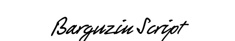 Barguzin Script font preview