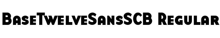 BaseTwelveSansSCB Regular font preview