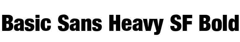 Basic Sans Heavy SF Bold font preview