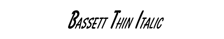 Bassett Thin Italic font preview
