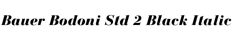 Bauer Bodoni Std 2 Black Italic font preview