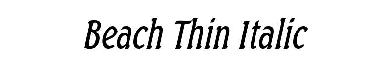 Beach Thin Italic font preview