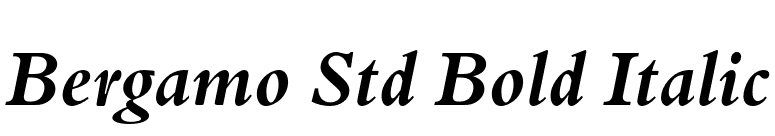 Bergamo Std Bold Italic font preview