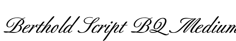 Berthold Script BQ Medium font preview