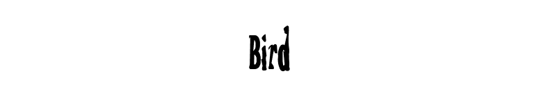 Bird font preview