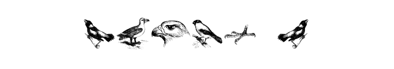 birds a font preview