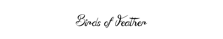 Birds of Feather font preview