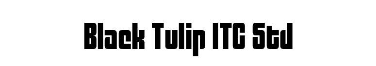 Black Tulip ITC Std font preview