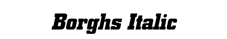 Borghs Italic font preview