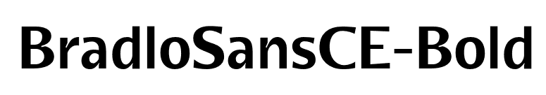 BradloSansCE-Bold font preview