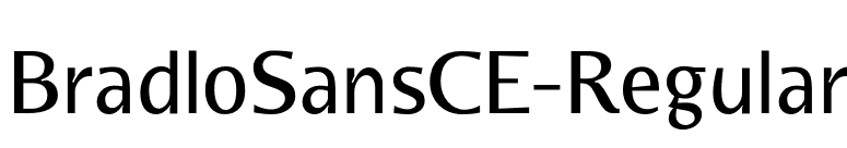 BradloSansCE-Regular font preview