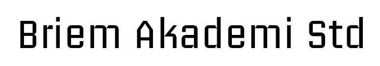 Briem Akademi Std font preview